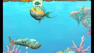 Feeding Frenzy 2 walkthrough full gameplay no commentary [upl. by Almira]