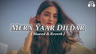 Mera yaar dildar bada sona  Slowed amp Reverb  Jaanwar  Mera yaar dildar bada sona lofi version [upl. by Dacie]