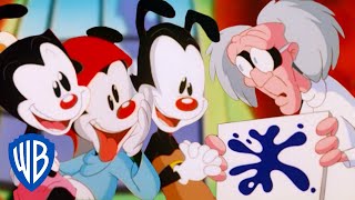 Animaniacs  The Warners’ Mind Games  Classic Cartoon  WB Kids [upl. by Cohen]