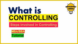 Principles Of Management  Lesson 12 Controlling [upl. by Adi]