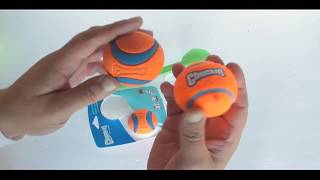 Chuckit Ultra Ball [upl. by Trumaine]