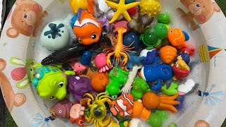 LEARN SEA ANIMAL NAMES AND FACTS SEA ANIMALS VIDEOS LEARN ABOUT SEA CREATURES OCEAN ANIMAL FACTS [upl. by Vaios85]