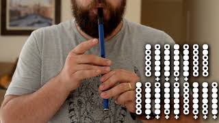 Tir Nan Og  Tuatha de Dannan  Tin Whistle Tutorial [upl. by Pierpont]