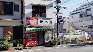 Tokyo Yanaka Alley Walk  4K HDR [upl. by Orabel907]