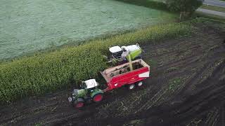 Maisoogst Hoornweg tussen Barneveld en Kootwijkerbroek [upl. by Field231]