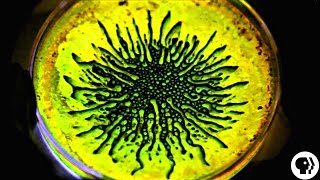 AMAZING Ferrofluid  Glow Sticks [upl. by Ronni679]