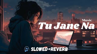 Tu Jaane Na Lyrics SlowedReverb Atif Aslam  Lyrical Audio003 trending youtube lyrics [upl. by Onimixam292]