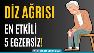 Diz Ağrısına Karşı En Etkili 5 Egzersiz [upl. by Yerfej]