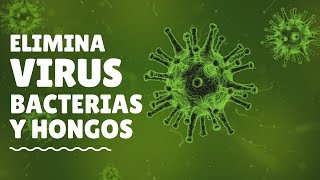 ELIMINA VIRUS 🦠 BACTERIAS Y HONGOS con PODEROSO DESINFECTANTE [upl. by Annasoh]