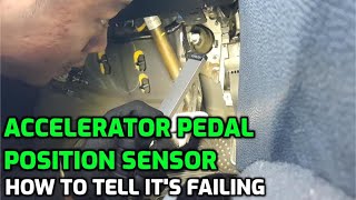 Symptoms of a Bad Accelerator Pedal Position Sensor Learn how it works and why it fails [upl. by Egiarc]