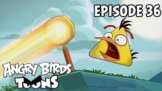 Angry Birds Toons  Fired Up  S1 Ep36 [upl. by Deehsar870]