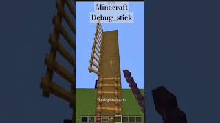 Minecraft Debugstick Magic 🪄 [upl. by Araic]