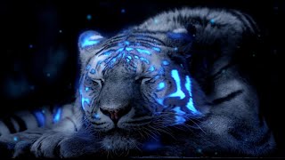 8 HOURS Tiger purring chuffing and relaxing forest sounds [upl. by Arytal]