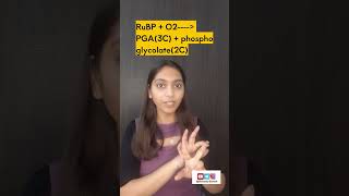 Photorespiration in Kannada BotanyBloom5 [upl. by Hagerman]