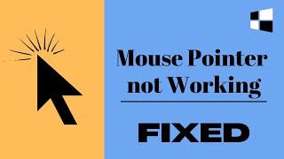 Mouse Pointer Not Working in Windows 1011 2024 Easy FIX [upl. by Ahsyat797]