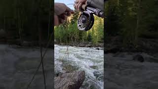 Fly fishing Ten Mile Creek [upl. by Petunia788]