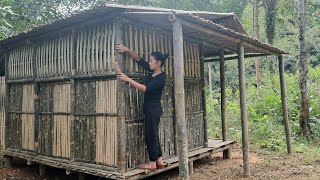 Complete the Bamboo house in the Forest  bushcraft shelter amp survival  Dang Thi Mui [upl. by Alysoun]