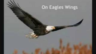 Eagles wings  The best version Ive ever heard [upl. by Hgalehs]