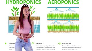 Aeroponics vs Hydroponics  Which is Better [upl. by Rheingold667]