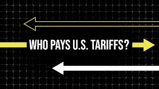 Who Actually Pays Tariffs [upl. by Euqinamod]