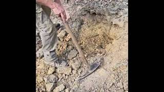 Detecting decent nugget in the Victorian Goldfields [upl. by Matheny489]