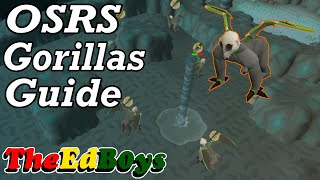 OSRS Demonic Gorilla Guide  Old School Runescape How to Fight Gorillas [upl. by Nonnel970]