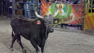 LA PESADILLA DE LOS JINETES Rancho El Tigre En El Salado Guerrero 2022 [upl. by Eeralih430]