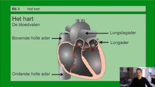 VMBO HAVO 2  De bloedsomloop  Basisstof 3 Het hart [upl. by Fagaly]