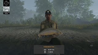 Fishing Planet  SaintCroix Lake  Michigan  Unique Brown Trout [upl. by Alael]