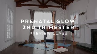 Intermediate 2ndTrimester Prenatal Yoga Class with Briohny Smyth [upl. by Ahsikad]