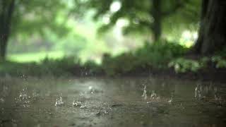 Slow Motion Rain Stock Footage  No Copyright Video  Royalty Free [upl. by Davies310]