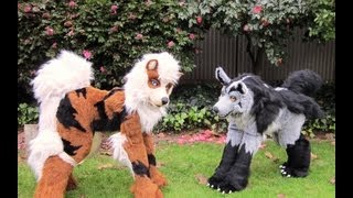 Mightyena and Arcanine  Cosplay Quadsuits [upl. by Chesna]