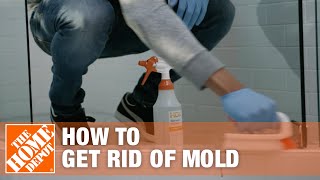 How to Get Rid of Mold  The Home Depot [upl. by Monk]