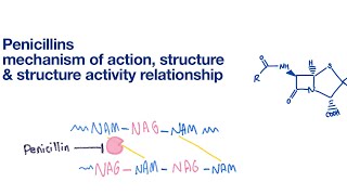 Penicillins Structure SAR and Mechanism of action  Infectious Disease [upl. by Nabois]