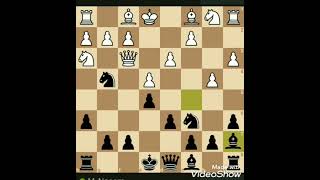 King Pawn opening Leonardis Variation [upl. by Olaznog]