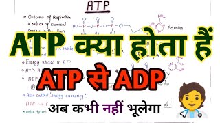 ATP  Adenosine Tri Phosphate   ADP  AMP  Energy Currency  Mitochondria  Cellular Respiration [upl. by Eniliuqcaj]