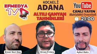 16042024 SALI KOCAELİ amp ADANA AT YARIŞLARI ALTILI GANYAN TAHMİNLERİ [upl. by Spratt]