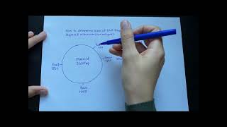 How to determine DNA fragment sizes from plasmid digested with restriction enzymes [upl. by Johiah]