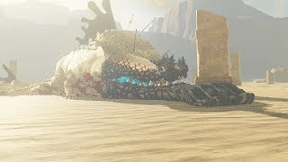 NEW Molduga Form King Molduga Boss Fight  Zelda Breath of the Wild [upl. by Selrahcnhoj171]