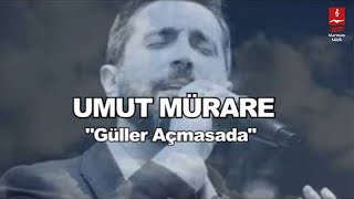 UMUT MÜRARE quotGÜLLER AÇMASA DAquot [upl. by Aicissej887]