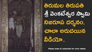 Tirumala Venkateswara Swamy Temple abhishekam real video [upl. by Ahseei]