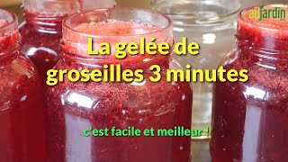 La GELÉE de GROSEILLES 3 MINUTES une RECETTE FACILE et RAPIDE [upl. by Yarazed913]