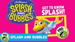 SPLASH AND BUBBLES  Meet Splash  PBS KIDS [upl. by Naanac]