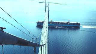 Watch the gigantic containership TripleE sailing under the Great Belt Bridge  Maersk [upl. by Culver]