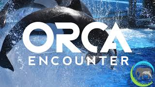 One Song  Orca Encounter Soundtrack SeaWorld [upl. by Pollux]