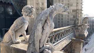 The Bells of NotreDame de Paris  April 14 2019 Day Before Fire [upl. by Calondra683]