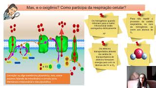 Cadeia respiratória ou fosforilação oxidativa [upl. by Anyrb]