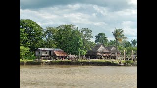 Papua New Guinea  Life along the Sepik River [upl. by Nerej586]