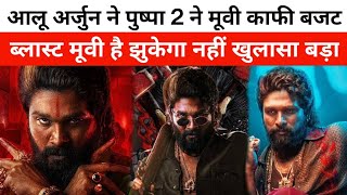 आलू अर्जुन ने पुष्पा 2 ने मूवी काफी बजट  ब्लास्ट मूवी है झुकेगा नहीं खुलासा बड़ा [upl. by Jesse]