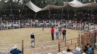 Los Destructores En San Isidro GTO 15 De Mayo 2019 [upl. by Llerroj]